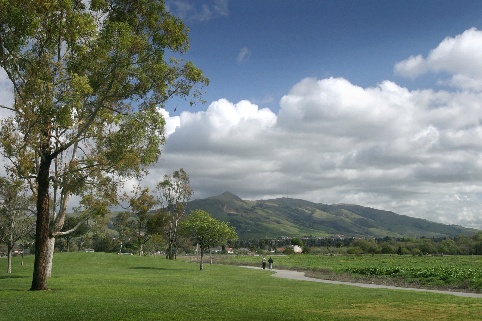 Mortgage broker serving Fremont, CA