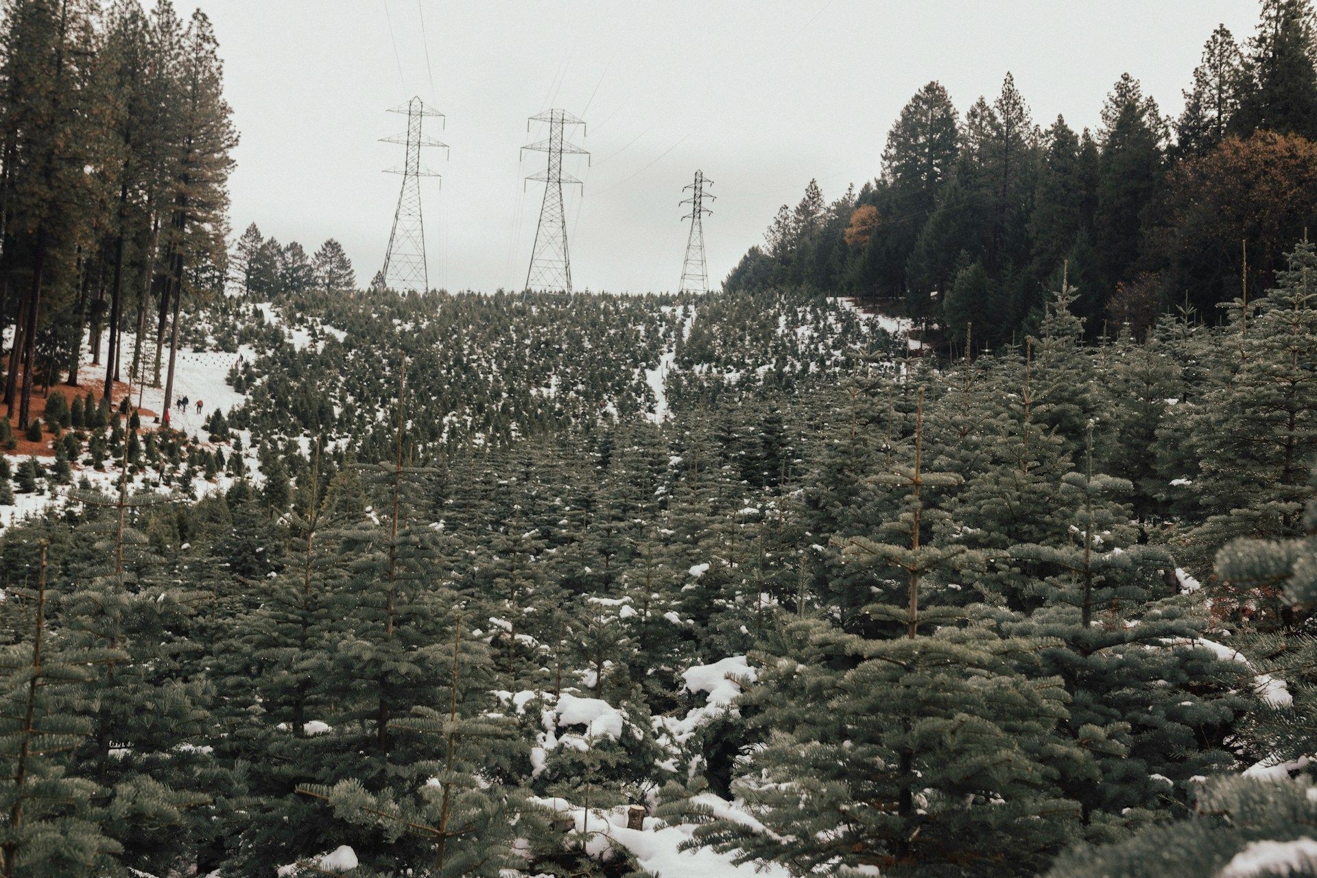 Placerville